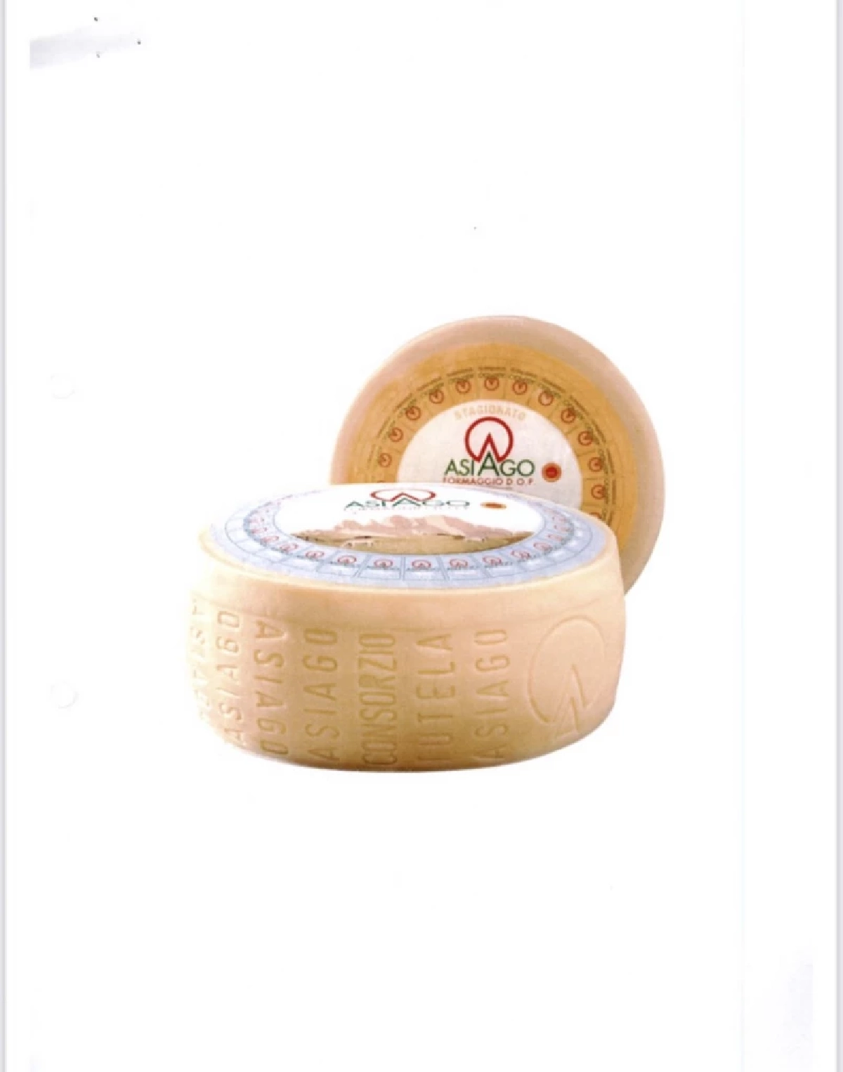 ไทย รับขึ้นทะเบียน GI ชีสชื่อดังจากอิตาลี "อาสิอาโก - กอร์กอนโซล่า"