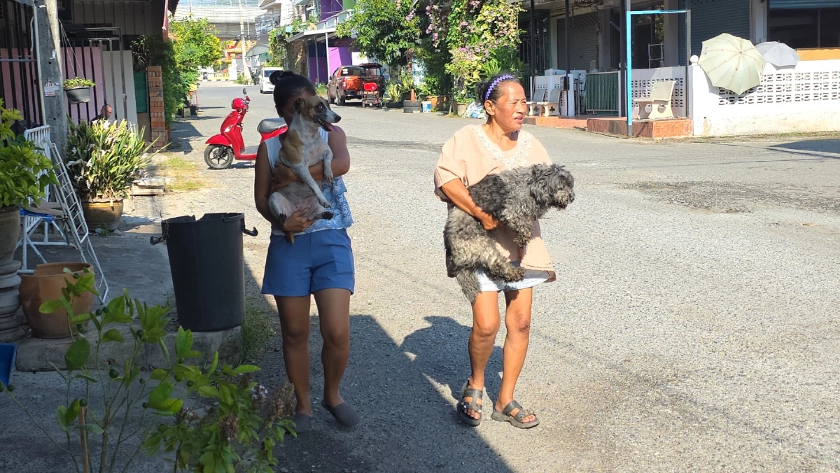 ไฟไหม้ตึกแถวสัตหีบ จนท.ลุยควันช่วย 2 สุนัขรอดหวุดหวิด
