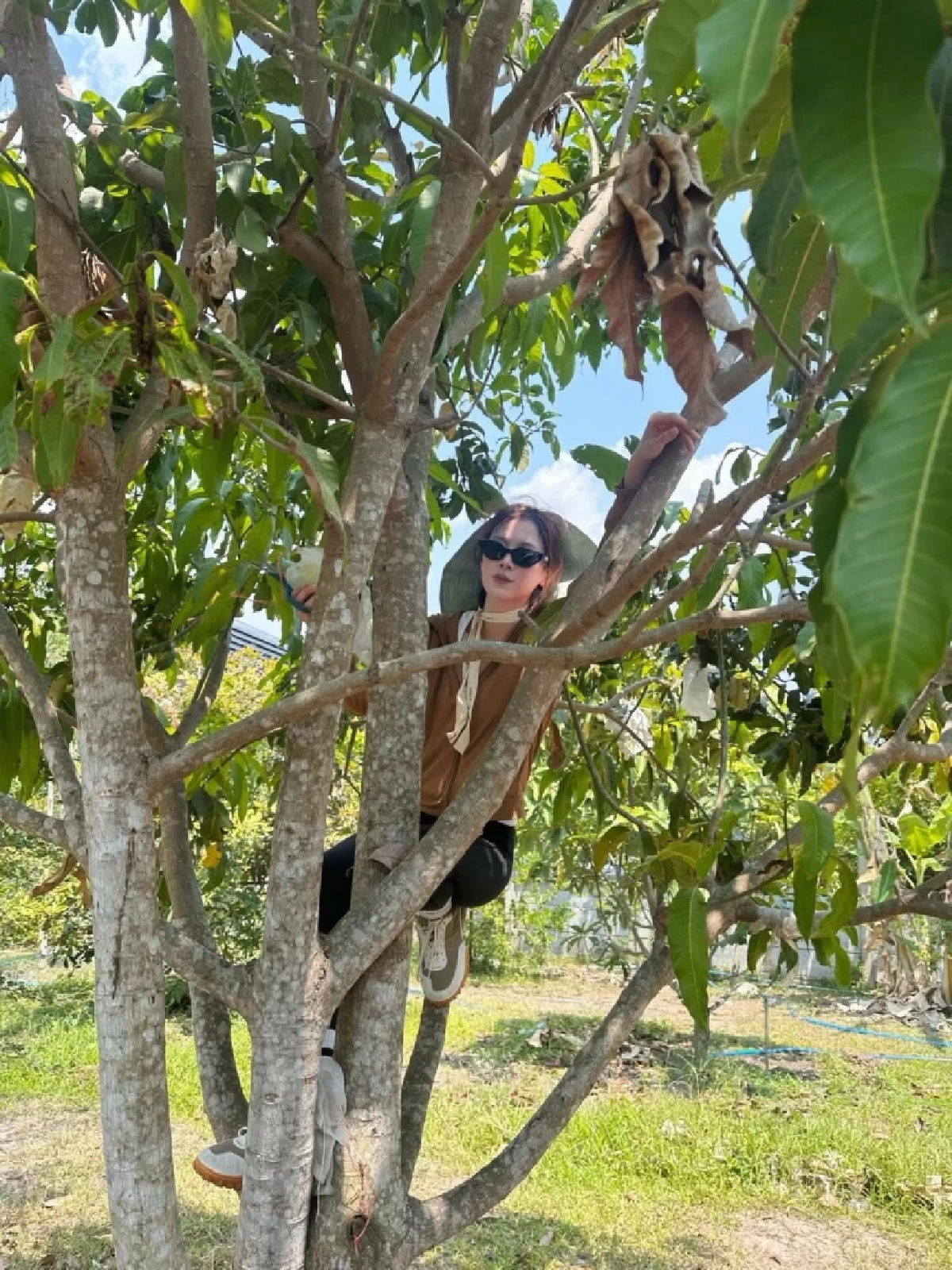 ใบเฟิร์น พิมพ์ชนก ควงคุณแม่เก็บมะม่วง โมเมนต์เรียบง่ายแต่อบอุ่น