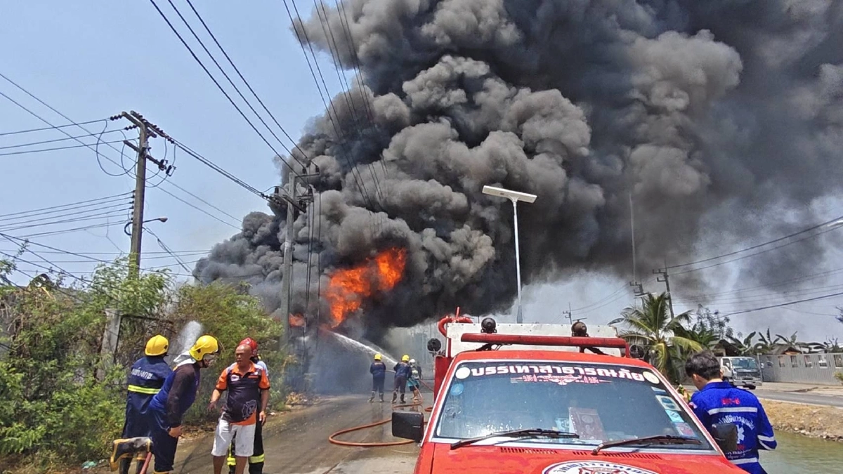 ไฟไหม้ป่าลามเผากองยางหลังเซียงกงรังสิต วอดรถยนต์ 2 คันรวด