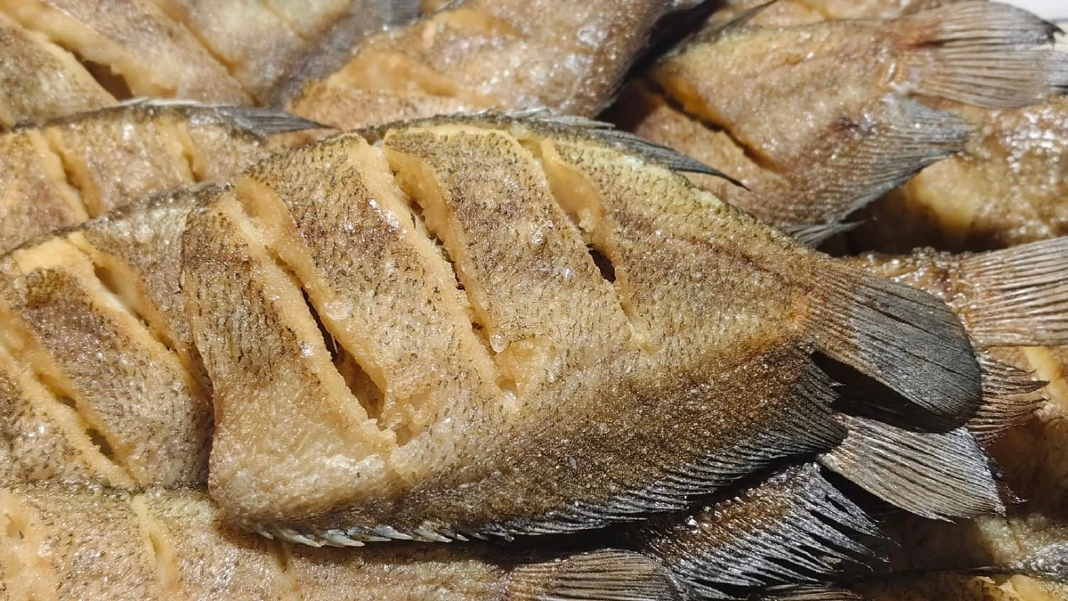 ขึ้นทะเบียน ปลาสลิดบ้านแพ้ว สินค้า GI น้องใหม่จังหวัดสมุทรสาคร