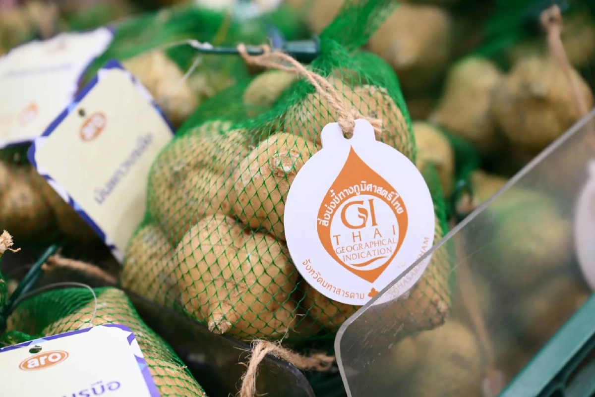 กรมทรัพย์สินทางปัญญา จับมือ CP Axtra หนุนรับซื้อ สินค้าเกษตร GI 16 รายการ