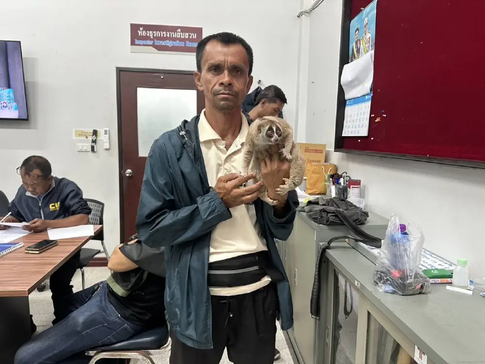 จับหนุ่มพกอาวุธลอบโชว์ 'นางอาย' ให้กับนักท่องเที่ยวถ่ายภาพ