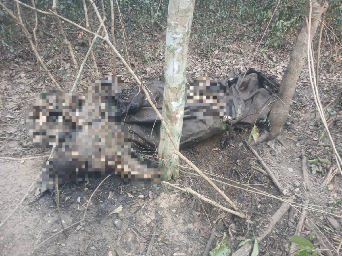 สั่งล่า! มือปืนเหี้ยมยิงกระทิงแก่งกระจานดับคาป่า 2 ตัว