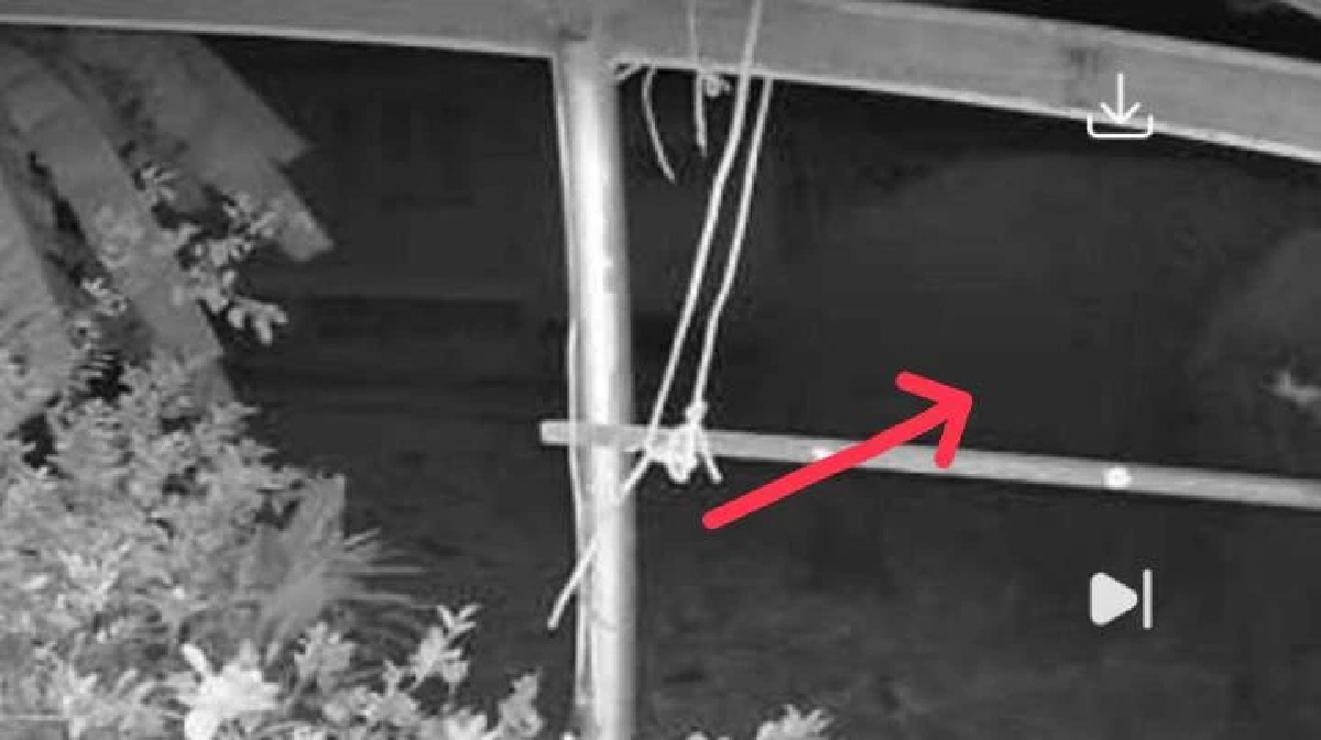 ช้างป่าอ่างฤาไน 2 ตัว! บุกถึงหน้าบ้านผู้ใหญ่บ้าน พังรั้วกระจุย