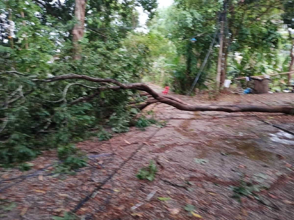 ระทึก! พายุฤดูร้อนถล่มเลย ลูกเห็บตกหนัก บ้านพังกว่า 30 หลัง