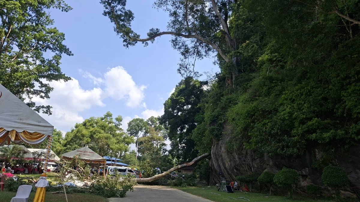 นาทีระทึก! ต้นไม้ร้อยปีถ้ำเขาเงินหักทับเต็นท์บุญ ดับ 2 เจ็บ 9 