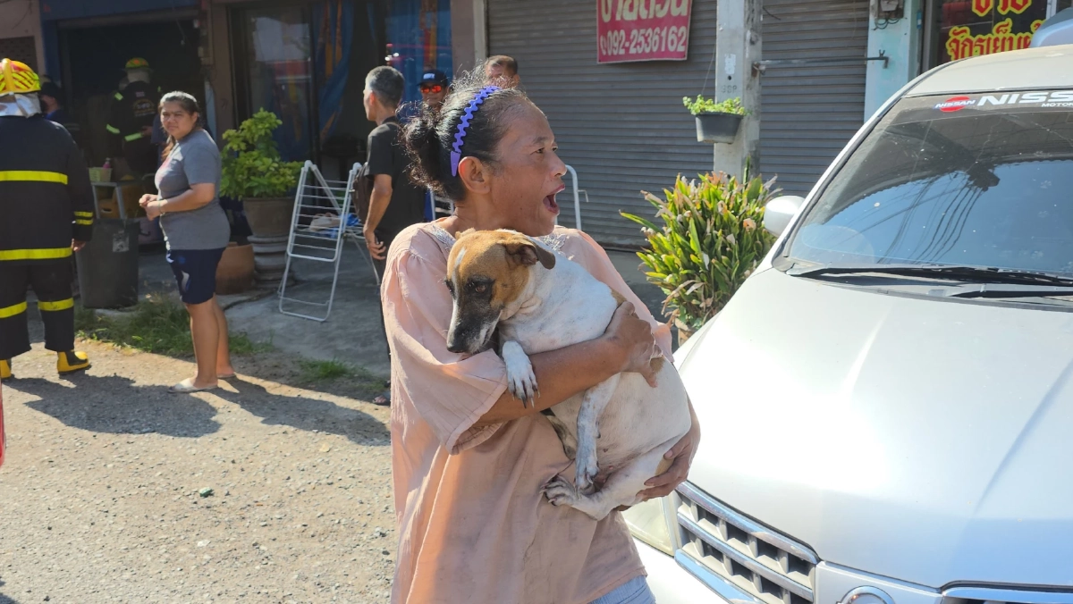 ไฟไหม้ตึกแถวสัตหีบ จนท.ลุยควันช่วย 2 สุนัขรอดหวุดหวิด