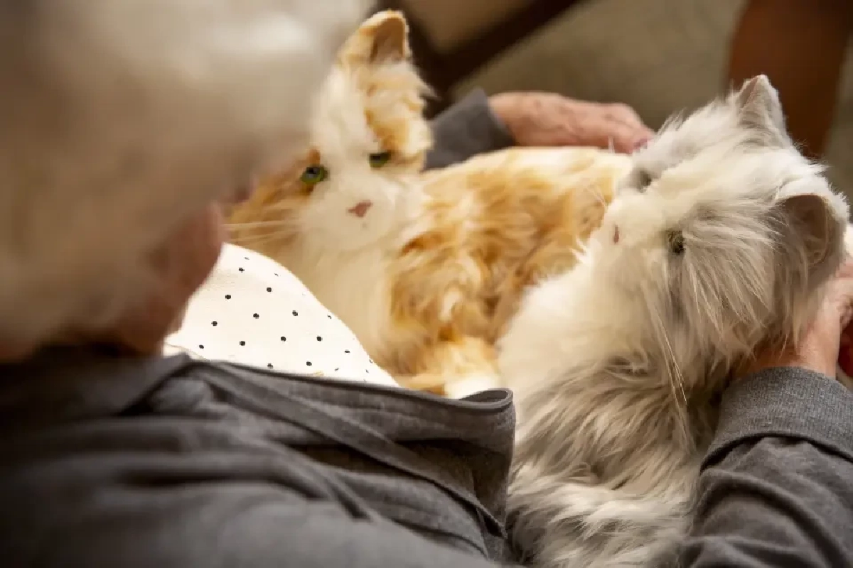 เทรนด์หุ่นยนต์สัตว์เลี้ยง นวัตกรรมบำบัดใจผู้สูงวัยและเด็ก