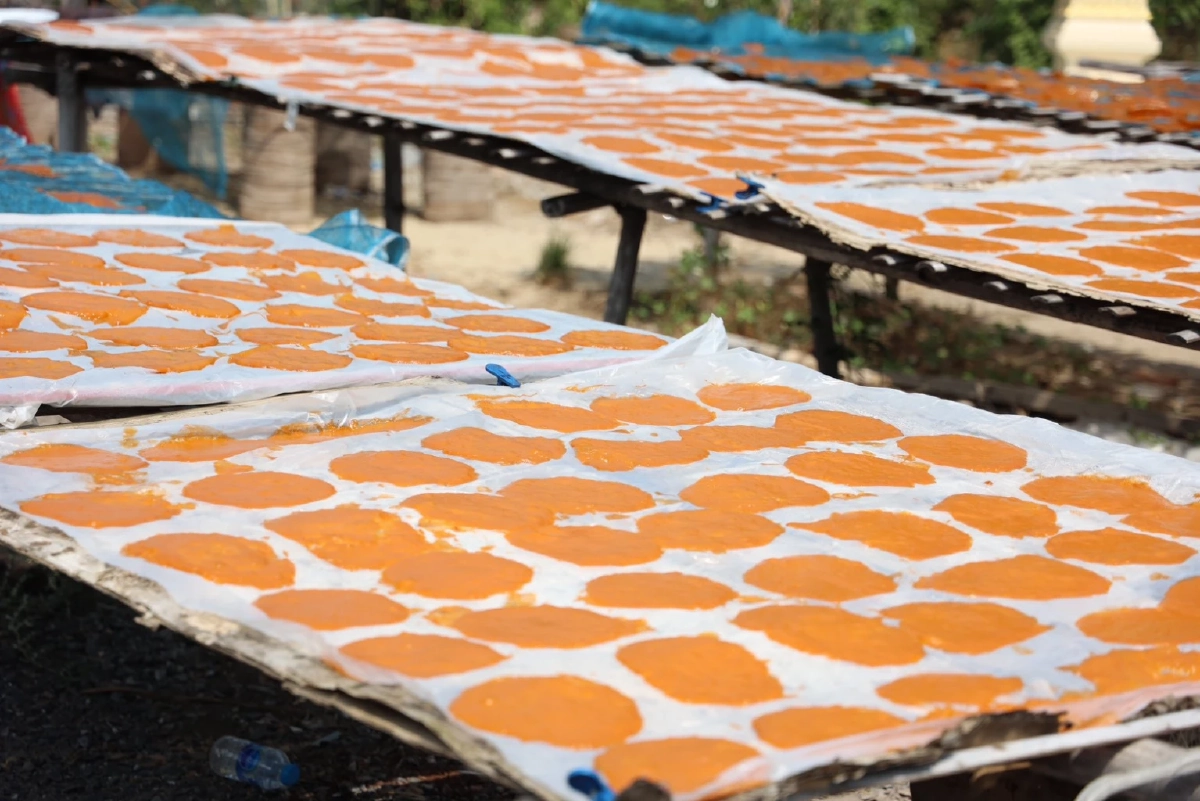 ดอยคำ เร่งรับซื้อ "มะม่วงกวน" แก้ปัญหามะม่วงราคาตก ช่วยเพิ่มรายได้เกษตรกรอ่างทอง