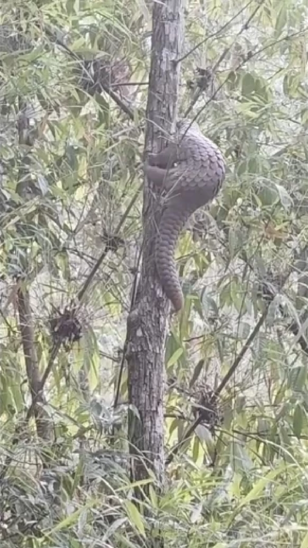 ไฟป่าเชียงใหม่ทำพิษ ชาวบ้านช่วยลิ่นรอดไฟป่าหวุดหวิด