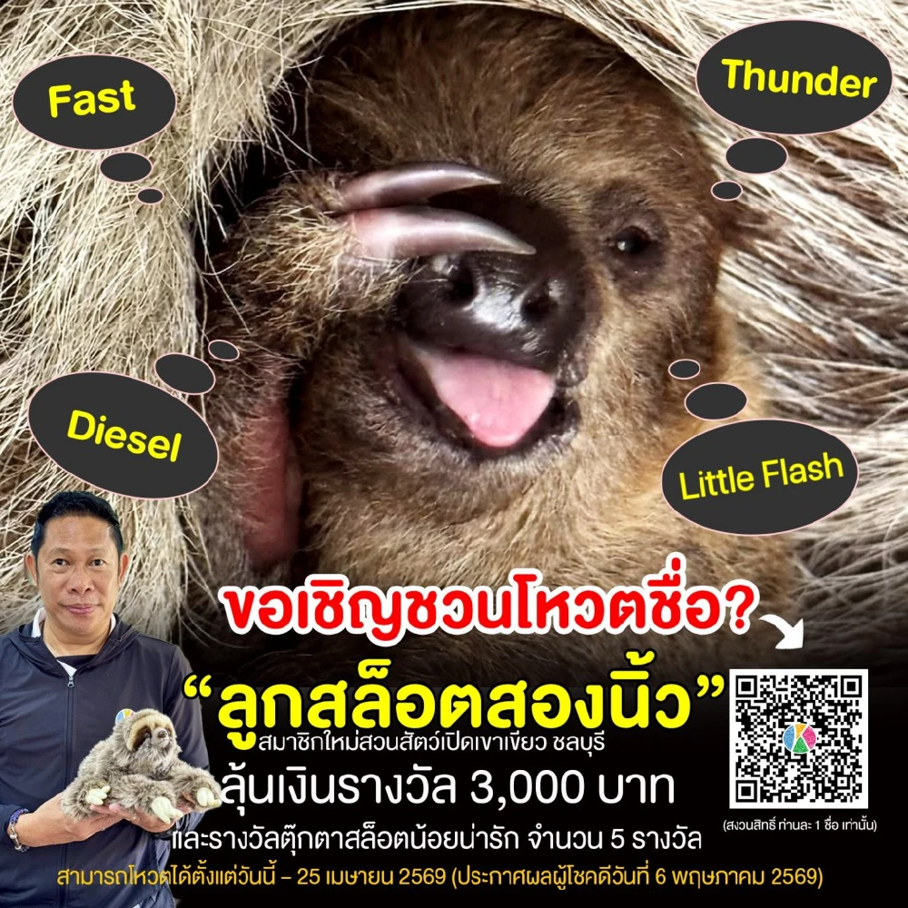 สวนสัตว์เปิดเขาเขียว ชวนโหวตชื่อลูกสล็อต ลุ้นรับรางวัลสุดพิเศษ