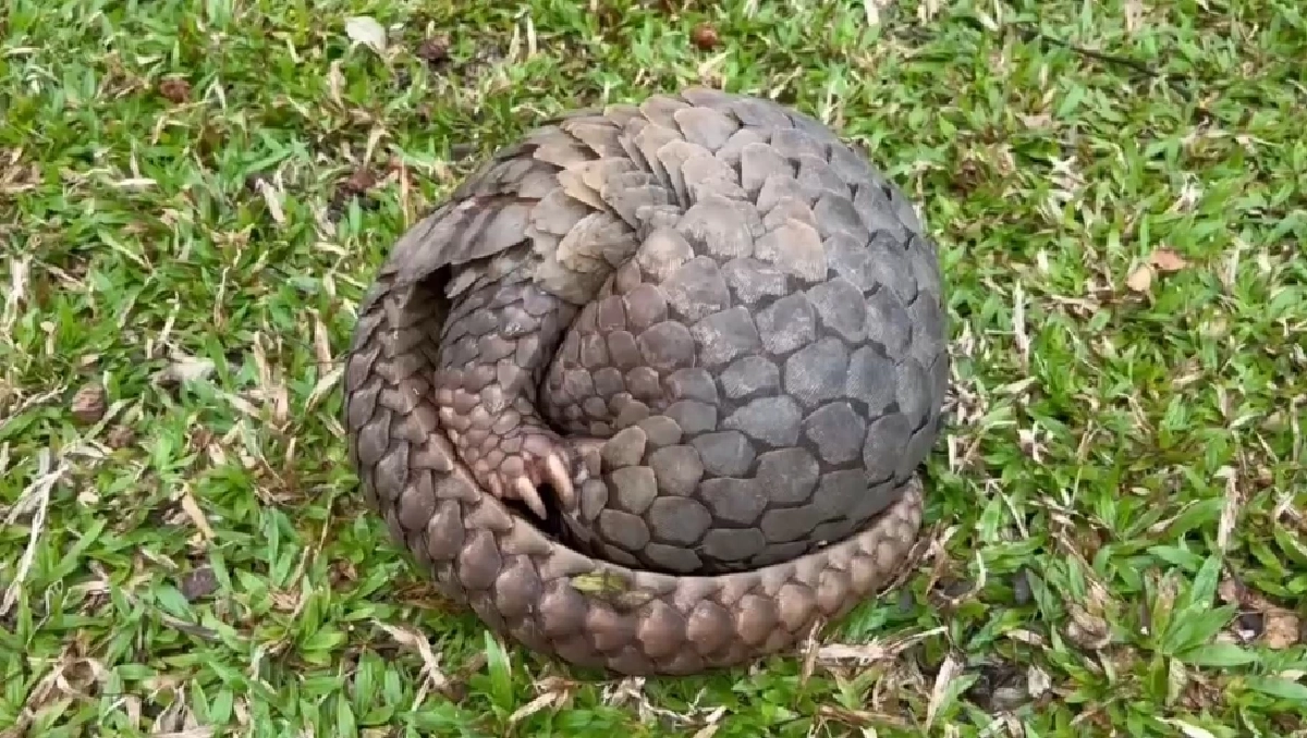 ไฟป่าเชียงใหม่ทำพิษ ชาวบ้านช่วยลิ่นรอดไฟป่าหวุดหวิด