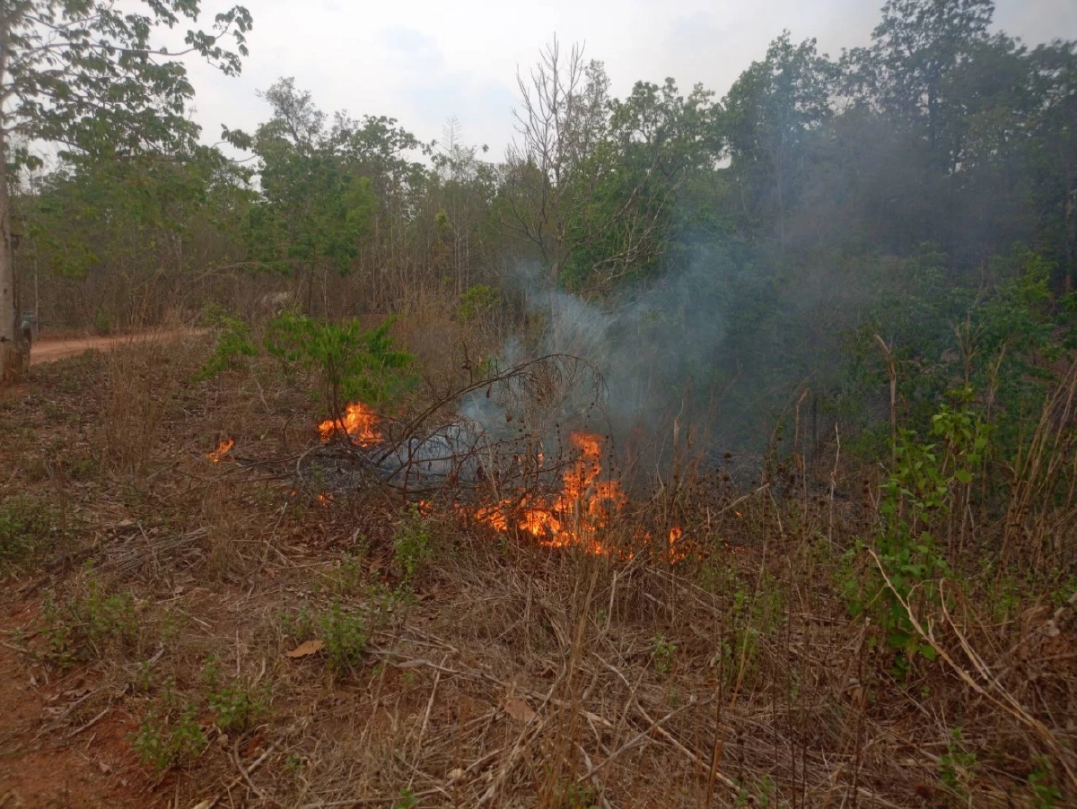 แม่ฮ่องสอนอ่วม ฝุ่น PM2.5 ปายพุ่ง 102.1 กระทบสุขภาพ