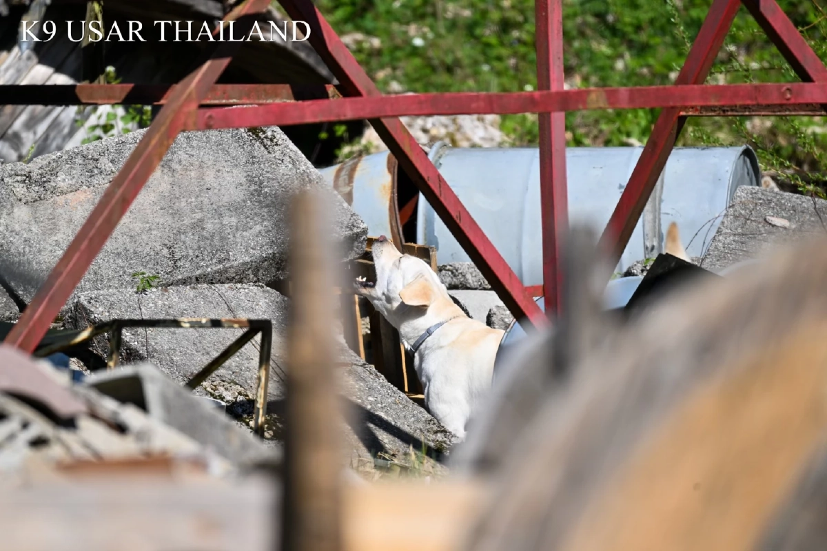 ระดับท็อป! นวล-นารี สอบผ่านระดับโลก พร้อมลุยกู้ภัยนานาชาติ