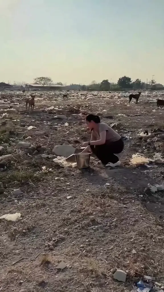 ปุ๊กลุก-ไมค์ สวมหัวใจนางฟ้าหมาจร ลุยคลองหลวงปรุงอาหารช่วยสี่ขา