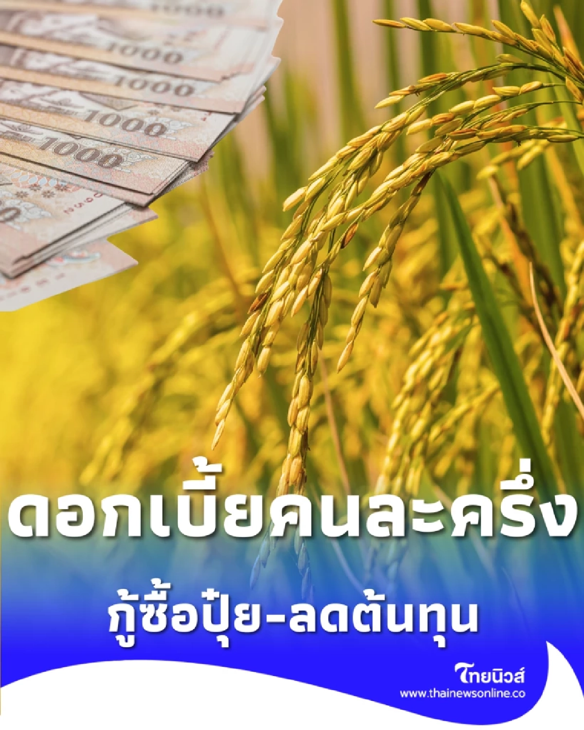 ธ.ก.ส. เตรียมปล่อยสินเชื่อดอกเบี้ยคนละครึ่ง อุ้มเกษตรกรสู้ราคาปุ๋ย