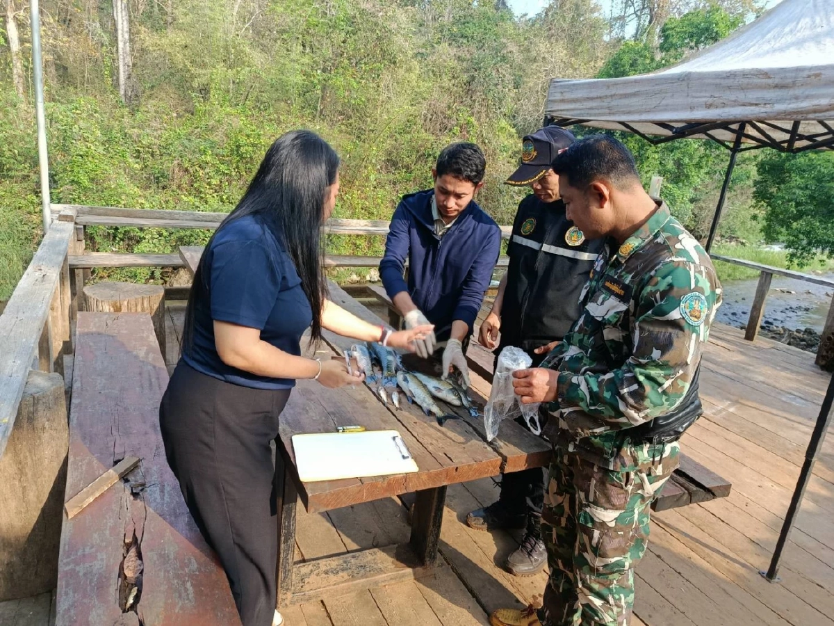 ผู้ว่าฯ แม่ฮ่องสอนยันปลาตายไม่ใช่สารเคมี ยันบริโภคได้