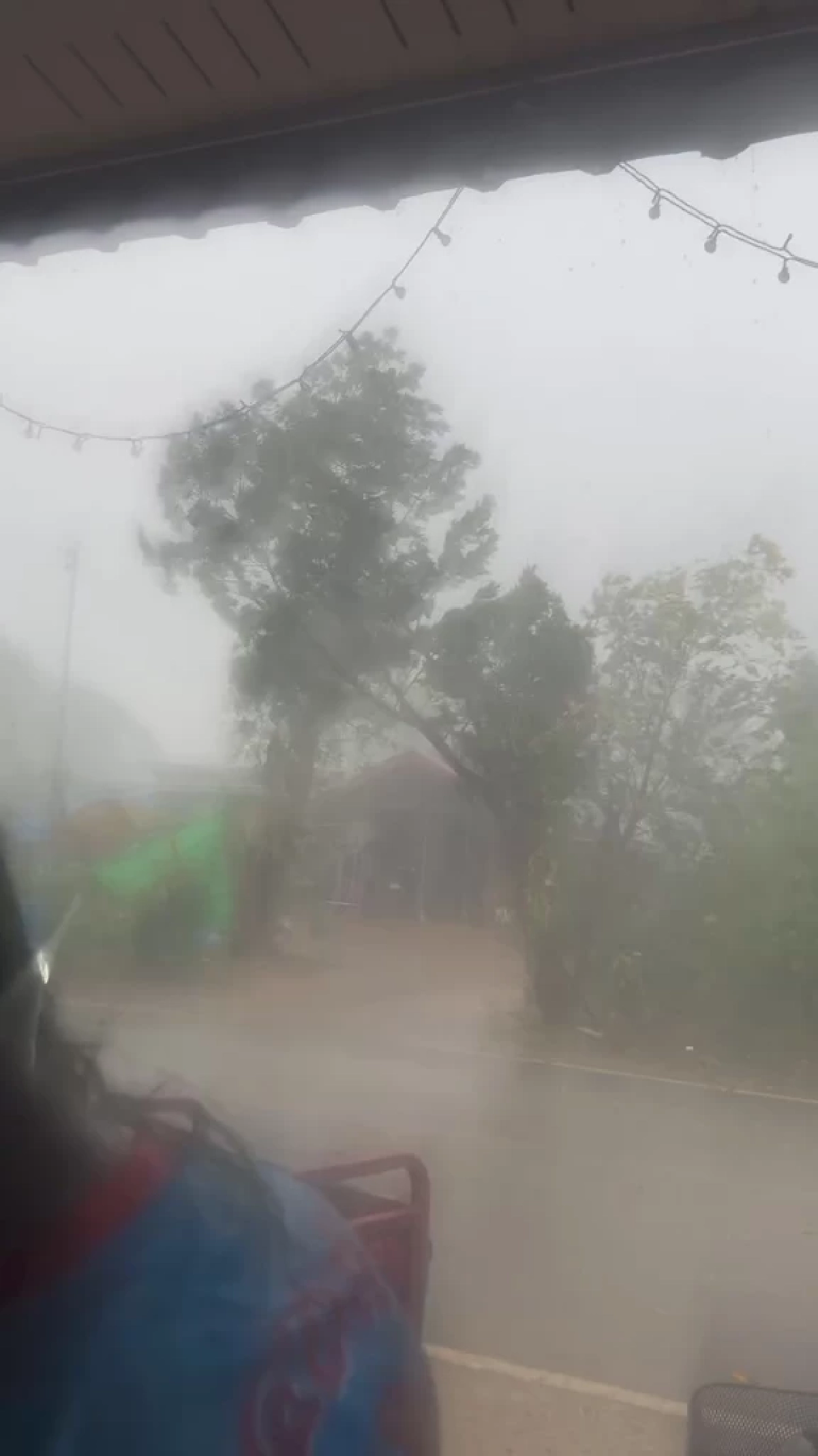 พายุฤดูร้อนถล่มโคราช ปากช่อง-สีคิ้วอ่วม ลมกระโชกแรงต้นไม้หัก