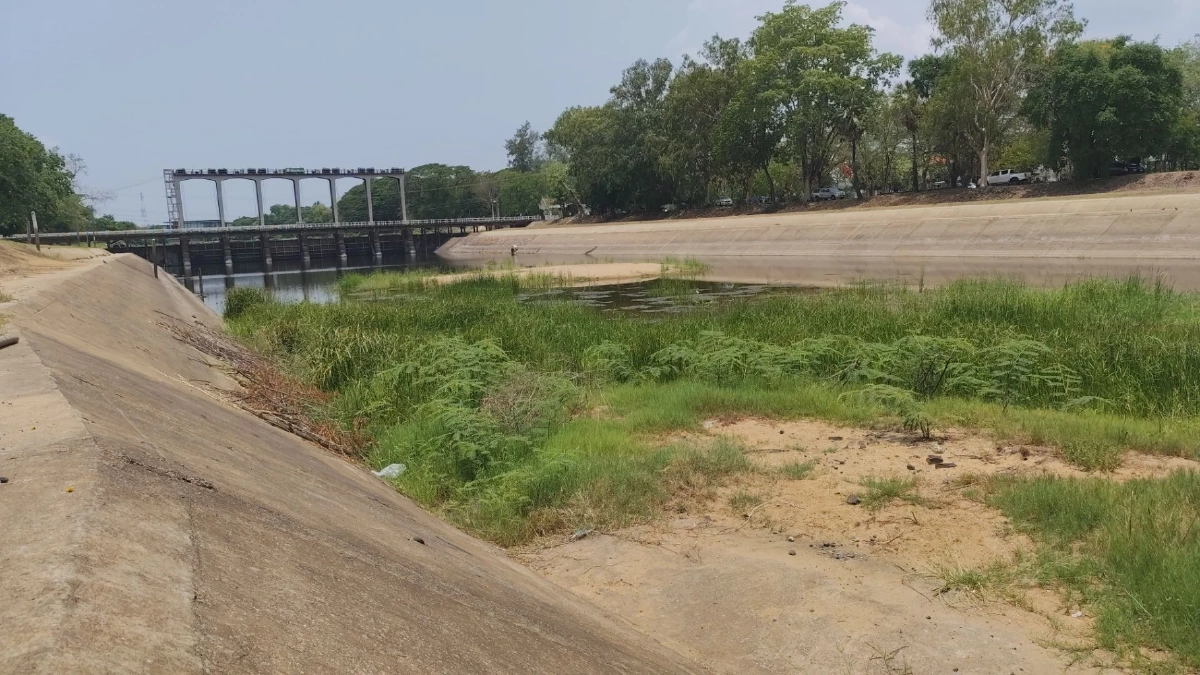 พิมายแล้งจัด! เขื่อนสั่งปิดประตูระบายน้ำ กระทบนาปรังจ่อตาย