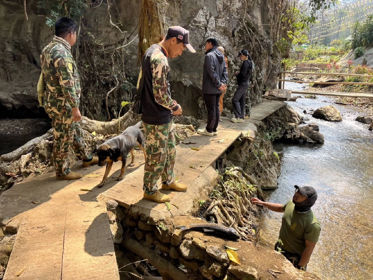 ผู้ว่าฯ แม่ฮ่องสอนยันปลาตายไม่ใช่สารเคมี ยันบริโภคได้