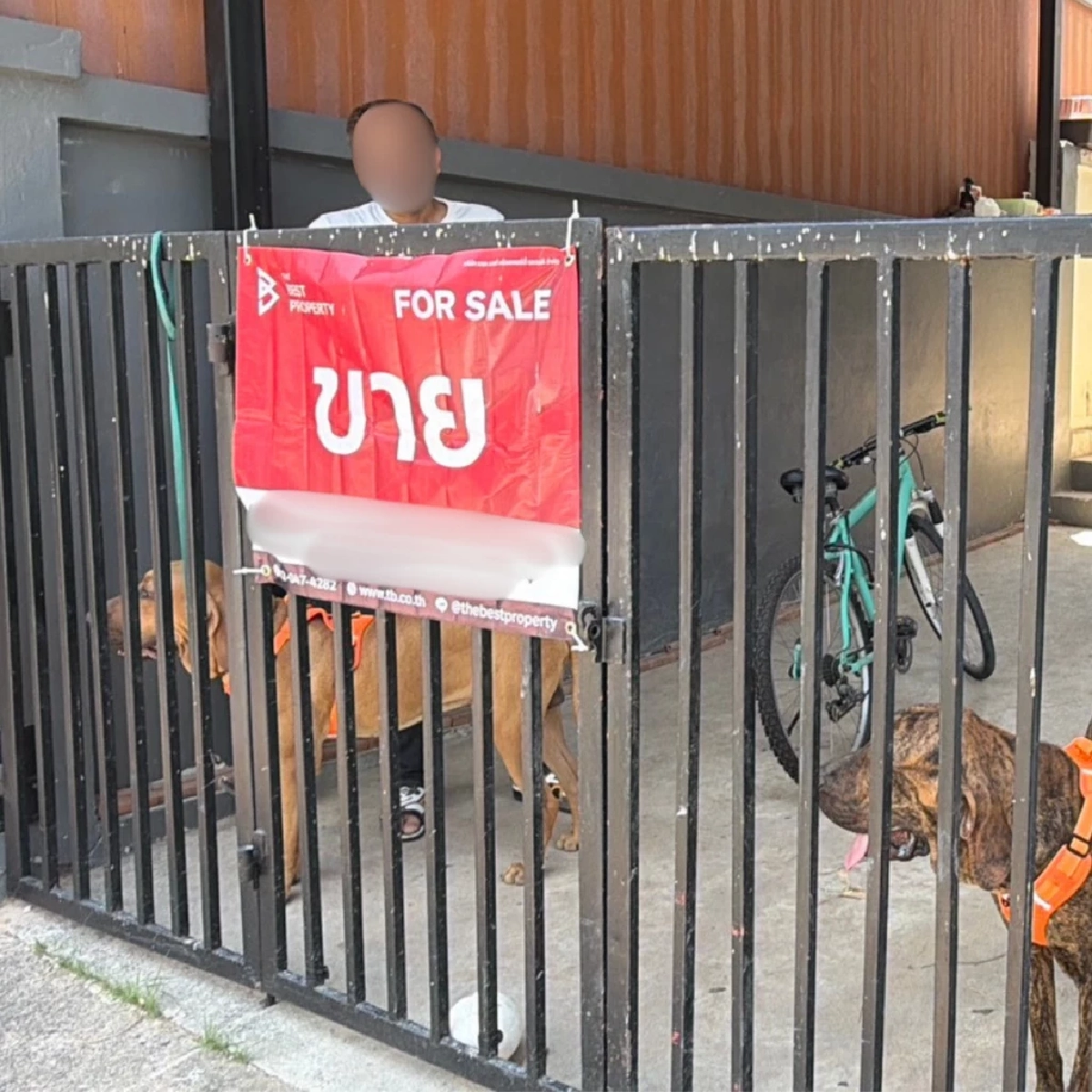 นาทีเดือด! หมาหลุดตัวเดียว ทำเพื่อนบ้านซัดกันน่วม