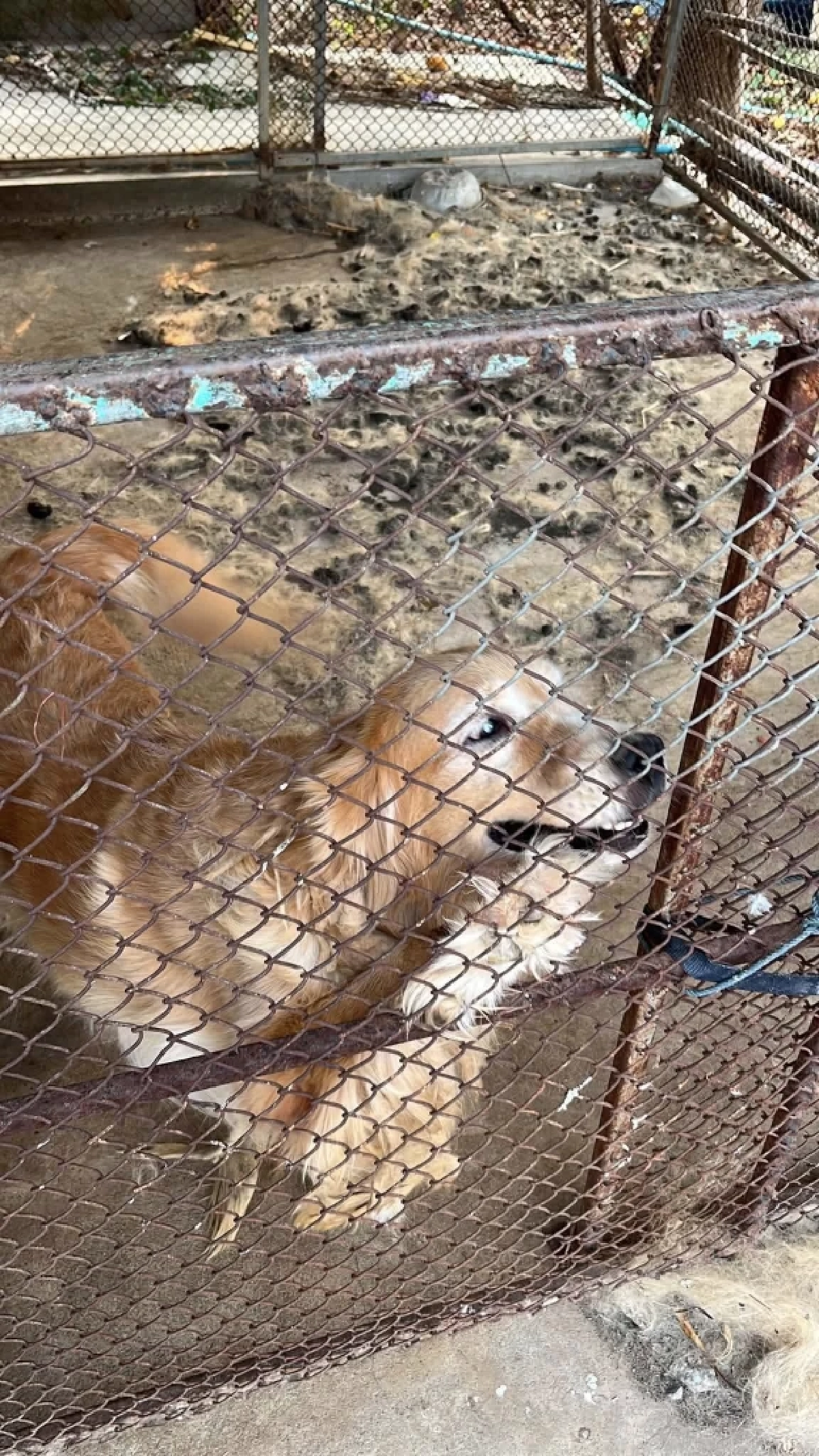 ภาพ @ไมกี้จอมป่วน