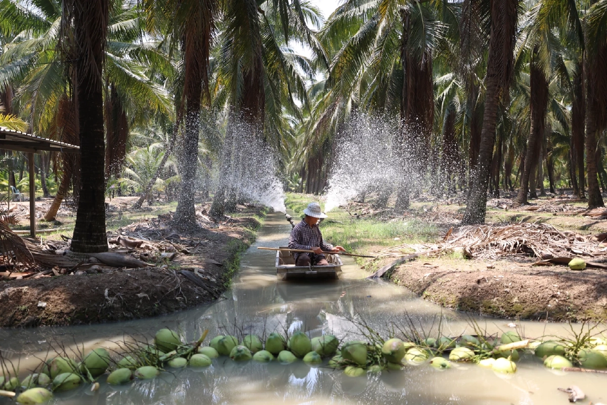 "ดอยคำ"ผนึก พี วาย ไทยฟรุต แก้วิกฤตมะพร้าวล้นตลาดราชบุรี สร้างความมั่นคงให้เกษตรกร