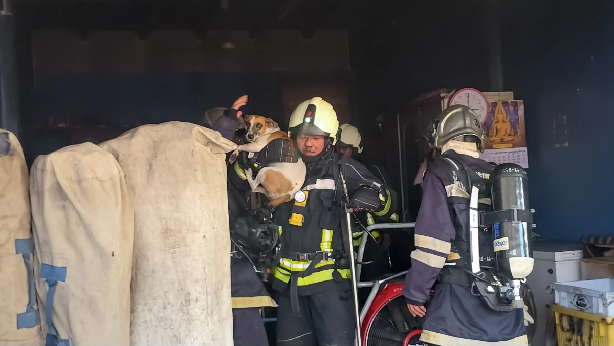 ไฟไหม้ตึกแถวสัตหีบ จนท.ลุยควันช่วย 2 สุนัขรอดหวุดหวิด