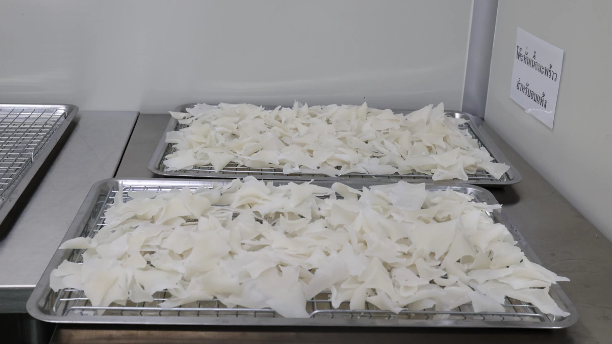 "ดอยคำ"ผนึก พี วาย ไทยฟรุต แก้วิกฤตมะพร้าวล้นตลาดราชบุรี สร้างความมั่นคงให้เกษตรกร