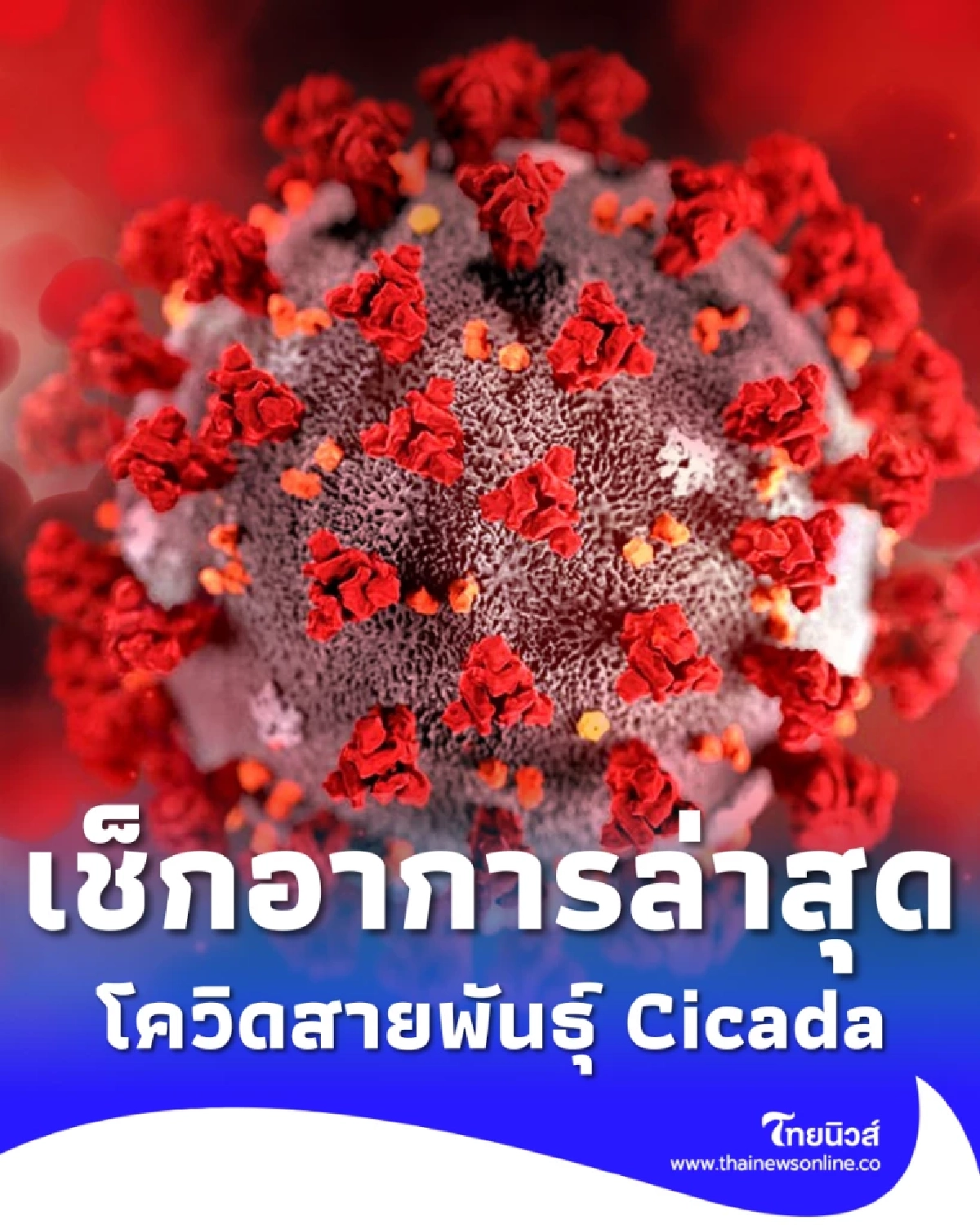เช็กอาการ Cicada โควิดสายพันธุ์ใหม่ที่ต้องจับตา ยันความรุนแรงไม่เพิ่ม