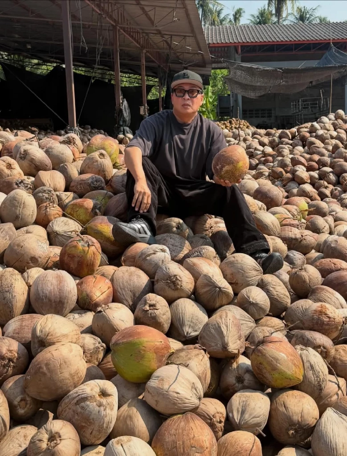 ทุ่มไม่อั้น เปิ้ล นาคร ศิลาชัย เปิดรับซื้อมะพร้าวล็อตใหญ่  