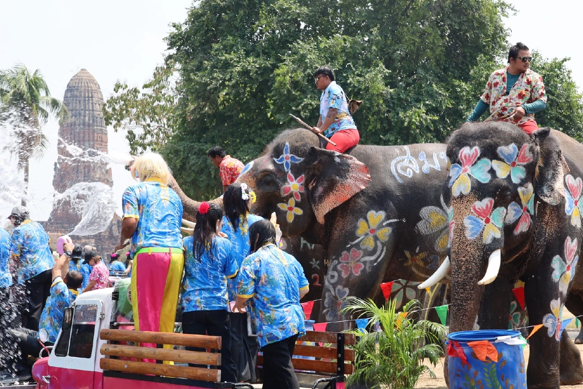 อยุธยาพร้อม! ขนช้าง 10 เชือกเล่นน้ำปาร์ตี้โฟมรับสงกรานต์