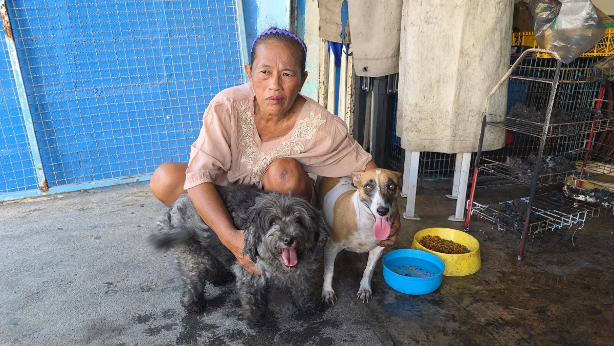 ไฟไหม้ตึกแถวสัตหีบ จนท.ลุยควันช่วย 2 สุนัขรอดหวุดหวิด