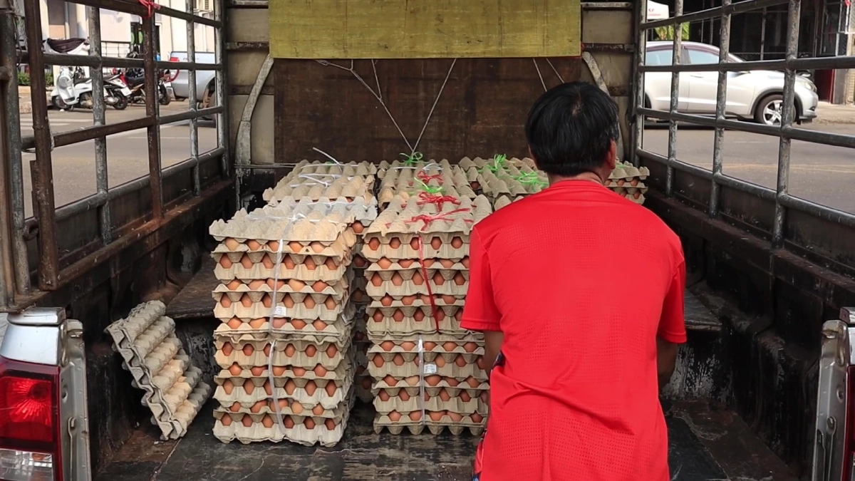 หนุ่มขนไข่ 6,000 ฟองแจกฟรีชาวอุดรฯ ช่วยลดภาระน้ำมันแพง