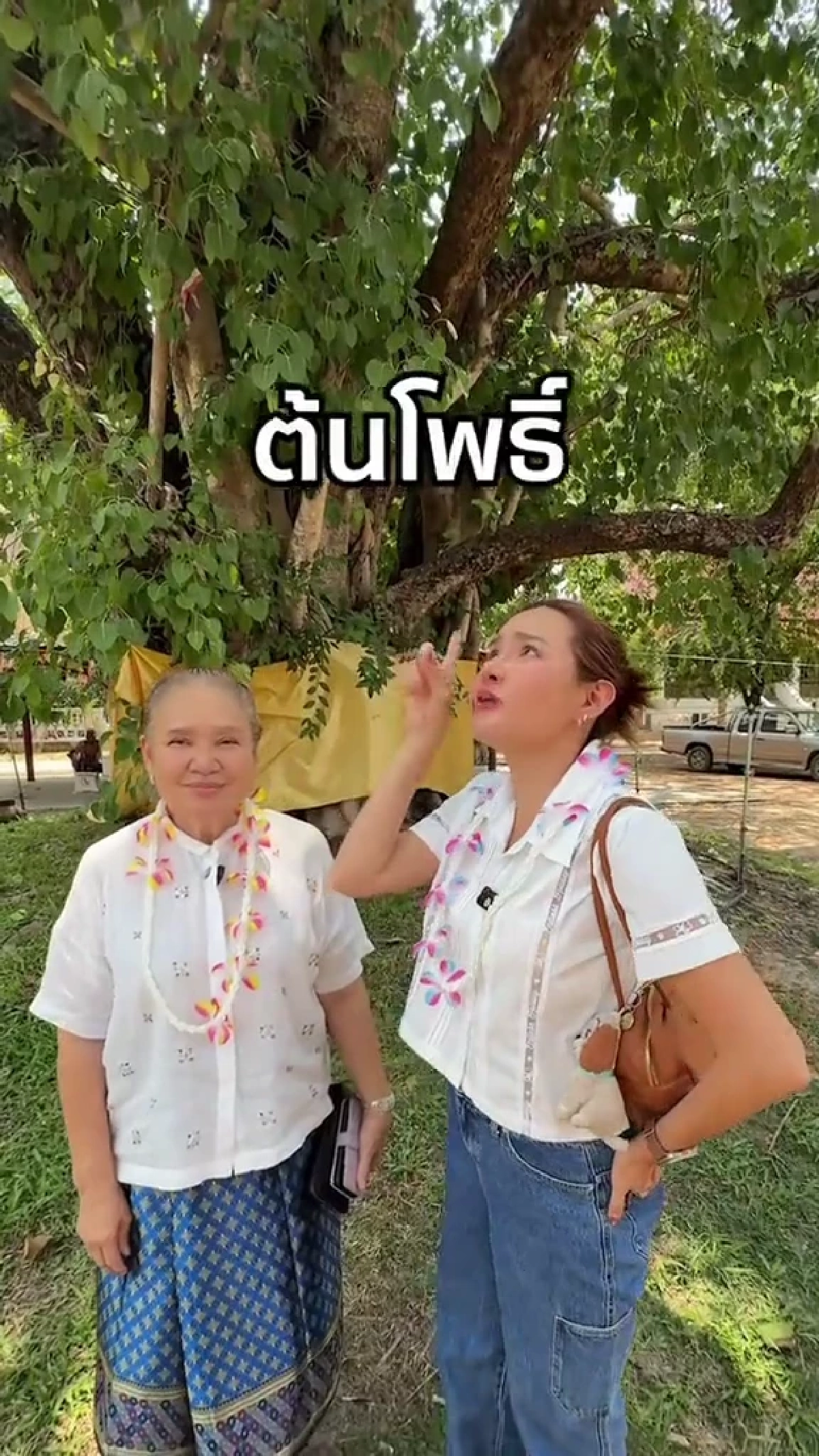 ตำนานนามสกุล “โพธิ์งาม” “หญิง รฐา-แม่น้อย” เล่าที่มาจากรากเหง้า