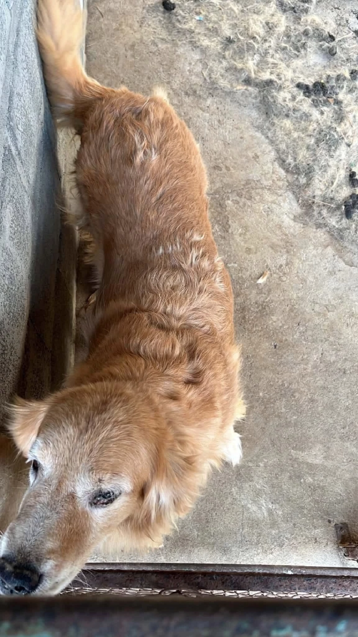 ภาพ @ไมกี้จอมป่วน