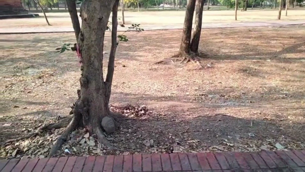 พบเศียรพระโบราณ 100 ปีถูกตัดทิ้งหลังวัดมหาธาตุ คาดคนร้ายเจอดี