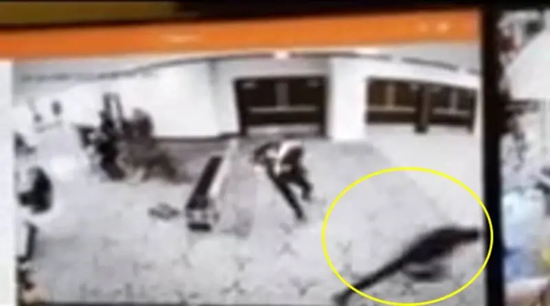 เจ็บ 1 ราย โดนัลด์ ทรัมป์ เปิดวงจรปิดนาทีคนร้ายบุกลอบเป่ากระหม่อม