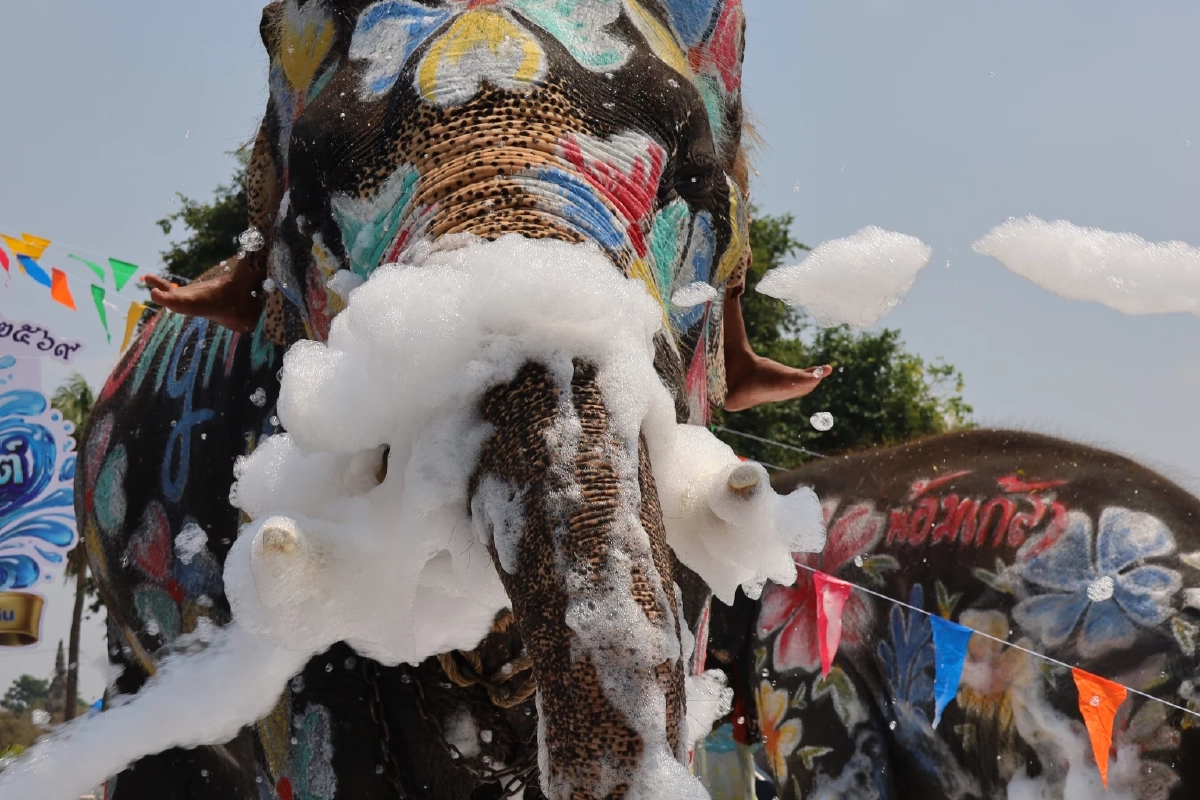 อยุธยาพร้อม! ขนช้าง 10 เชือกเล่นน้ำปาร์ตี้โฟมรับสงกรานต์