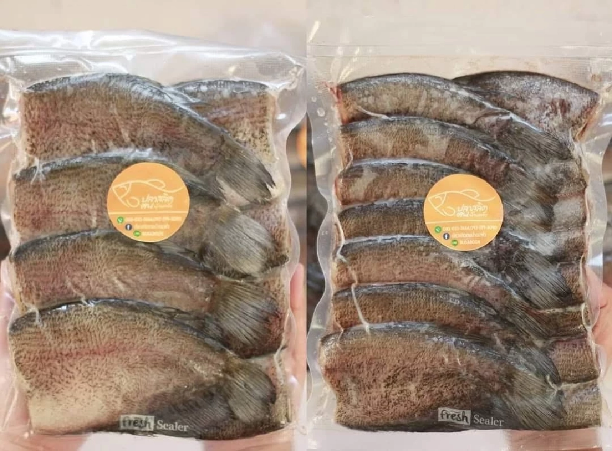ปลาสลิดบ้านแพ้ว เนื้อแน่น ไม่เหม็นโคลน ผงาดคว้า GI น้องใหม่
