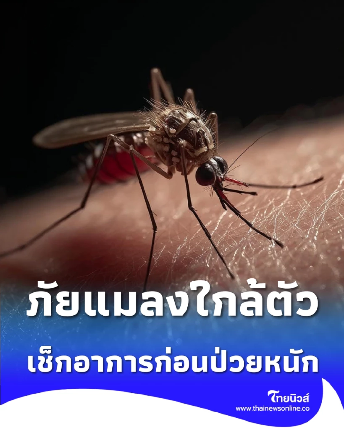 ภัยร้ายจากแมลงใกล้ตัว เช็กอาการและวิธีป้องกันก่อนป่วยหนัก