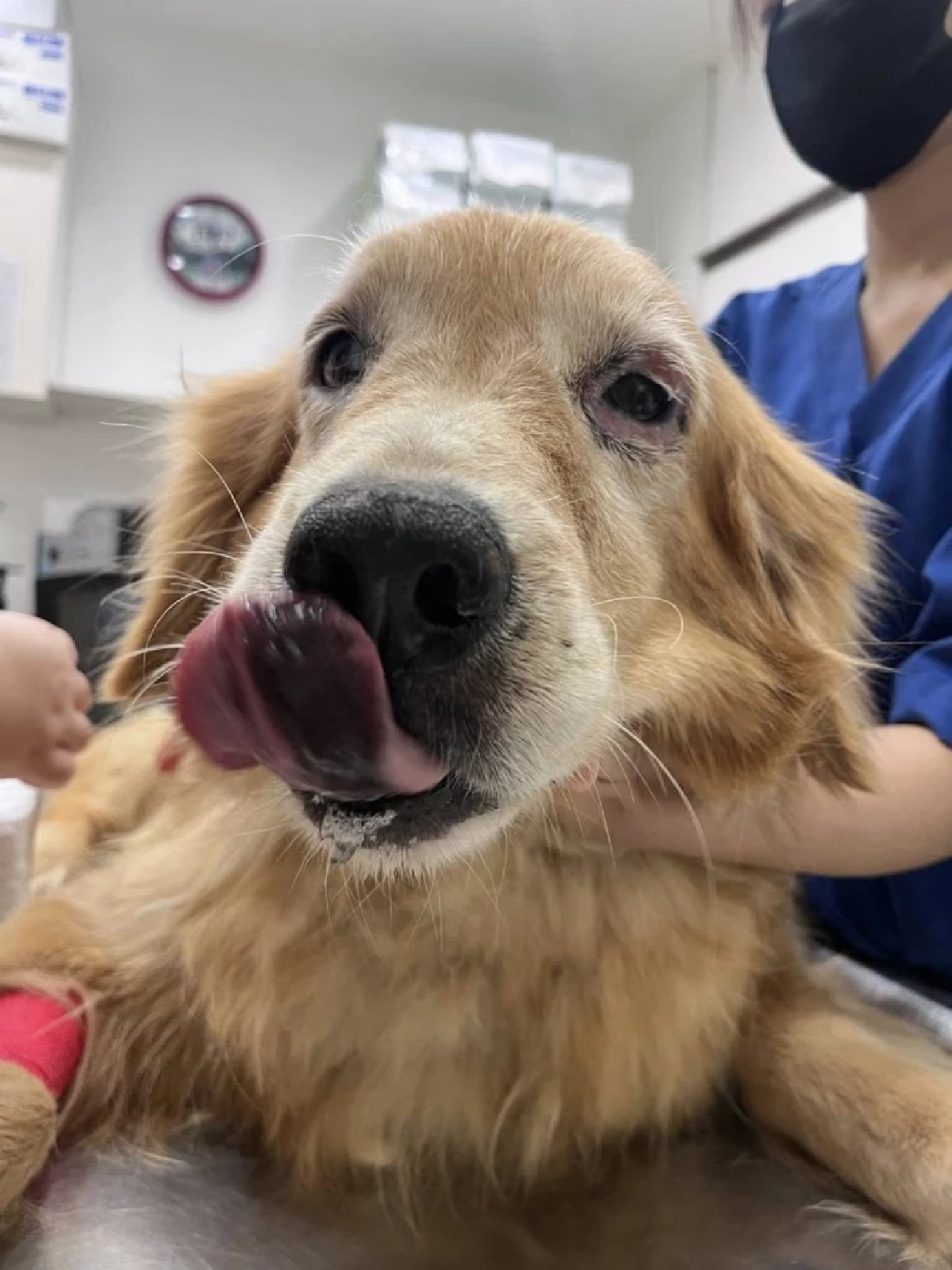 ภาพ @ไมกี้จอมป่วน