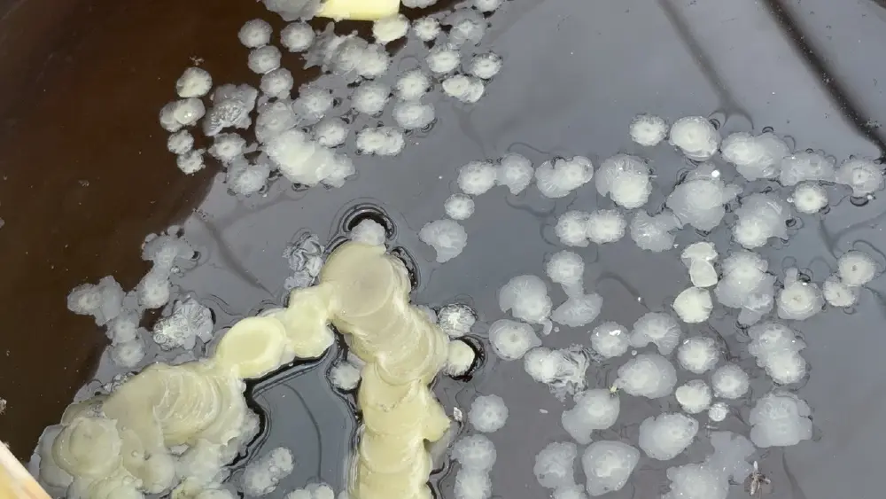 ฮือฮา! เลขเด็ดน้ำตาเทียน อ่างทอง พิธีไหว้ครูอาจารย์สรณ์