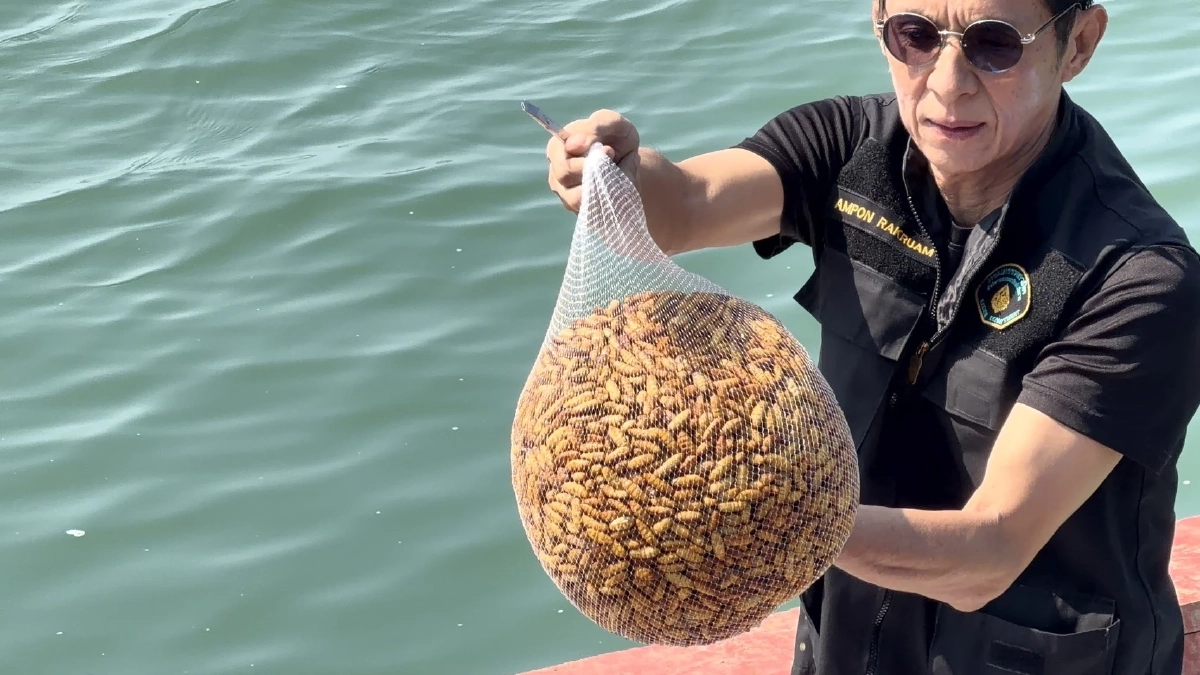 ศรชล.ตราด สกัดจับเรือ 5 ลำลอบขนสินค้าส่งเขมร ยึดของกลางเพียบ