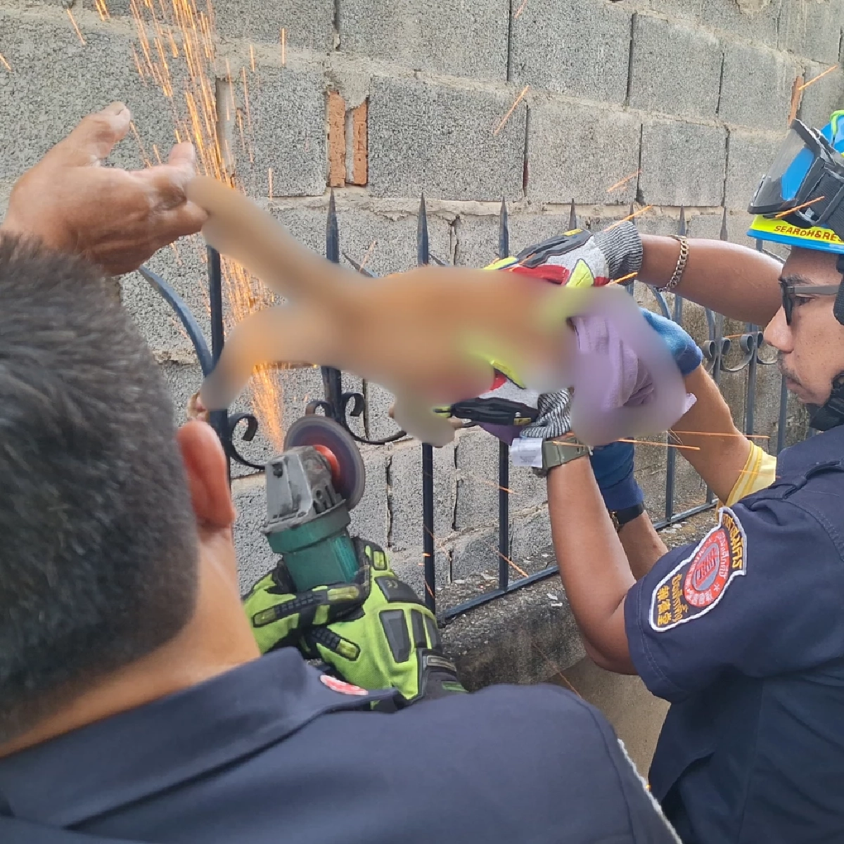 วินาทีชีวิต! แมวส้มเคราะห์ร้ายร่วงตกหลังคาถูกเหล็กเสียบ