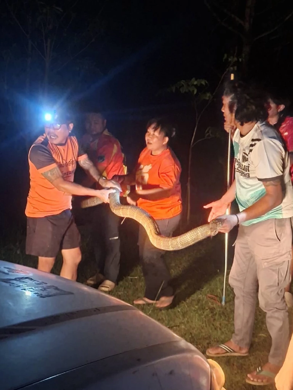 ส่องบ้านเลขที่ งูจงอางขนาดใหญ่ 4 เมตร เลื้อยซุกเข้าบ้าน