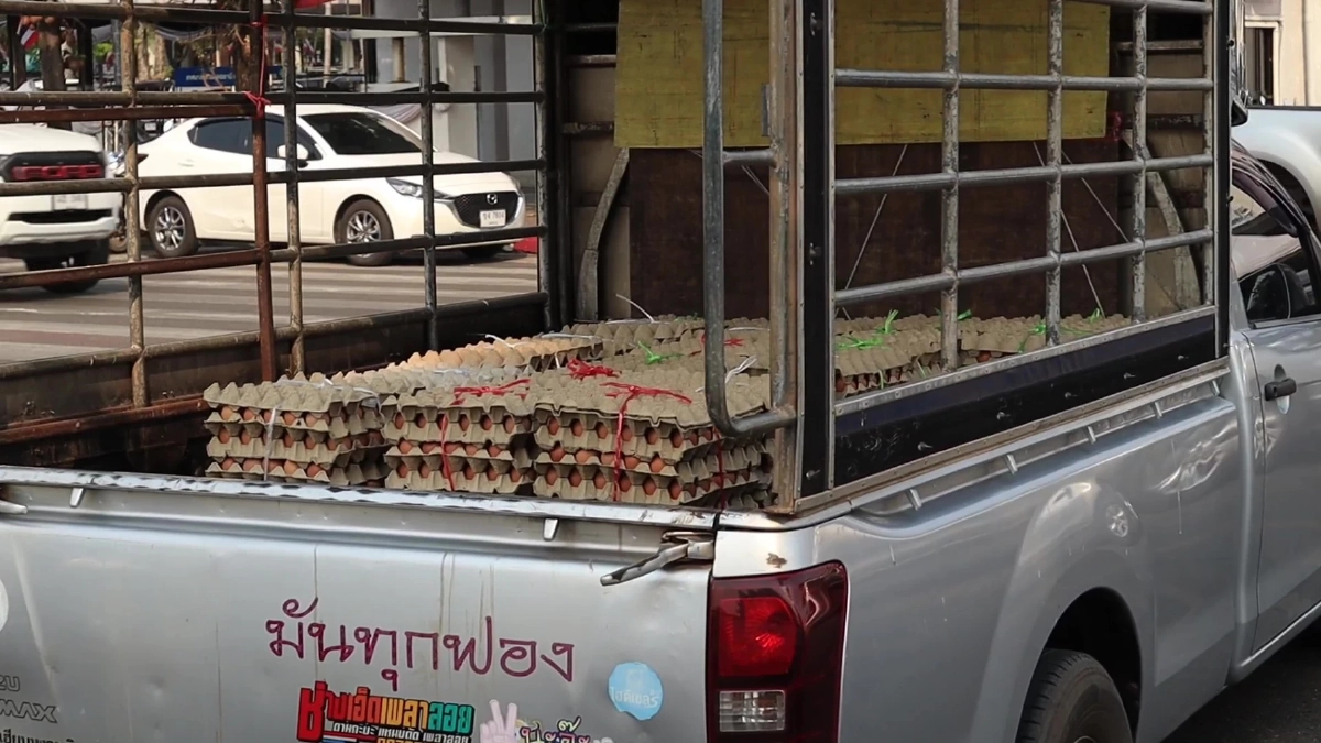 หนุ่มขนไข่ 6,000 ฟองแจกฟรีชาวอุดรฯ ช่วยลดภาระน้ำมันแพง