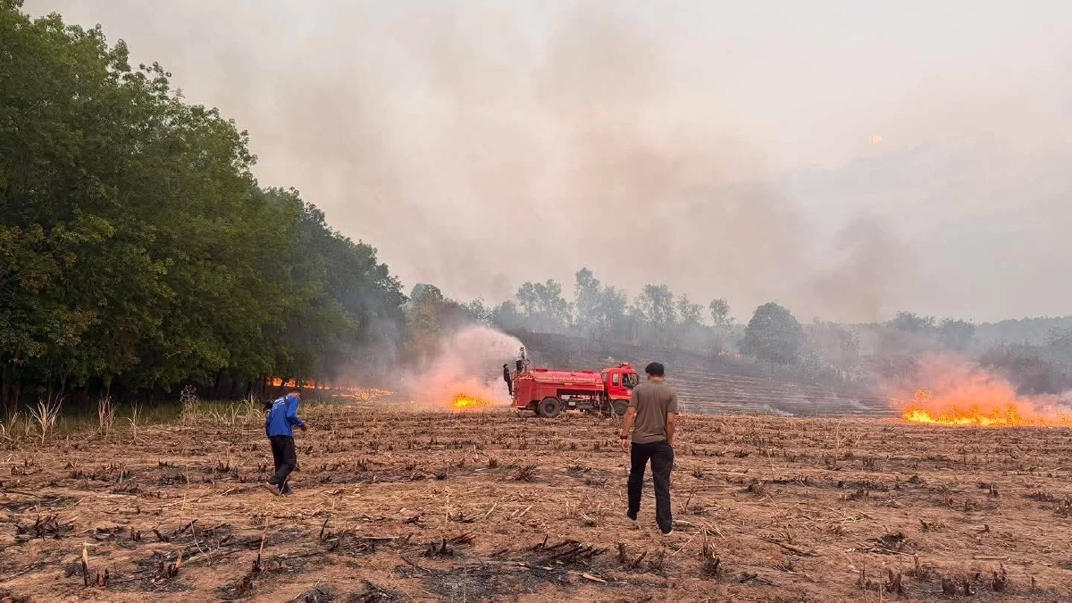จังหวัดเลยวิกฤต ฝุ่น PM 2.5 พุ่งระดับสีแดง พบจุดความร้อน 33 จุด