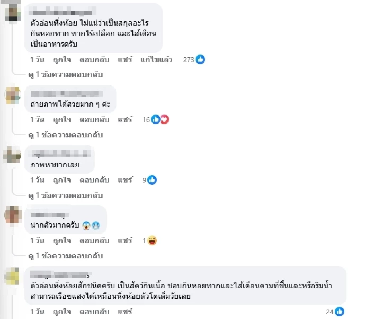 รู้แล้วตัวอะไร คลิปขนลุกสัตว์ปริศนารุมเหยื่อ ชาวเน็ตเฉลยตรงกัน